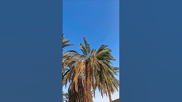 #تلاوة_خاشعة #القرآن_الكريم #اكسبلور #المصحف #لايك #دويتو