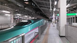 東北新幹線 はやぶさ96号 仙台行き E5系とE6系  2020.10.03