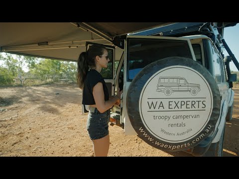 WA Experts -