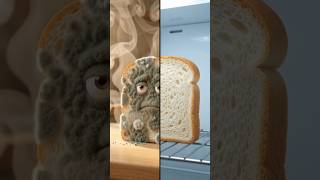 Why Mold Takes Over Your Bread So Fast ??
