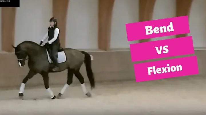 Behind The Vertical Vs On The Bit With Olympian Gi...
