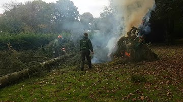 Furlonger Tree Services fast motion