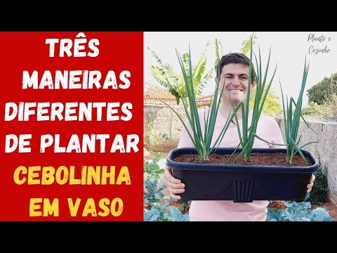 Vídeo: Como compactar palha (com fotos)