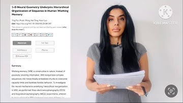 2D neural geometry representations in our Working Memory 🧠🧬