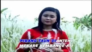 Alum - Mia MS Patrol Lare Osing (Official Music Video)