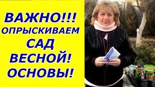 Учимся опрыскивать сад весной . ОСНОВА! Учимся опрыскивать сад весной . ОСНОВА!