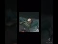Rock lee gets hit with tree