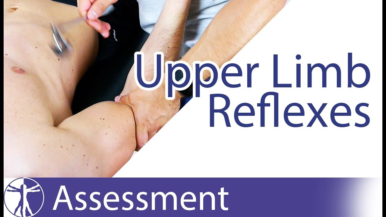 Upper Limb Deep Tendon Reflexes