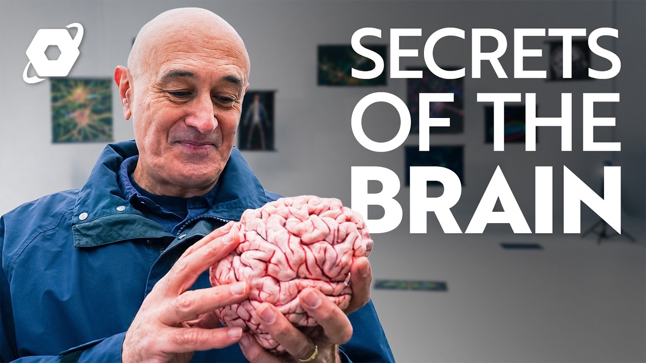 The 600 Million Year Story of the Human Brain | FULL DOCUMENTARY