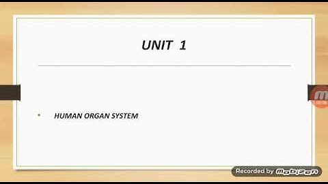 Science Class 8 Chapter 1Human Organ System L-6 "Nephron"