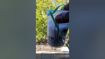 Egg Drop Challenge Part 2