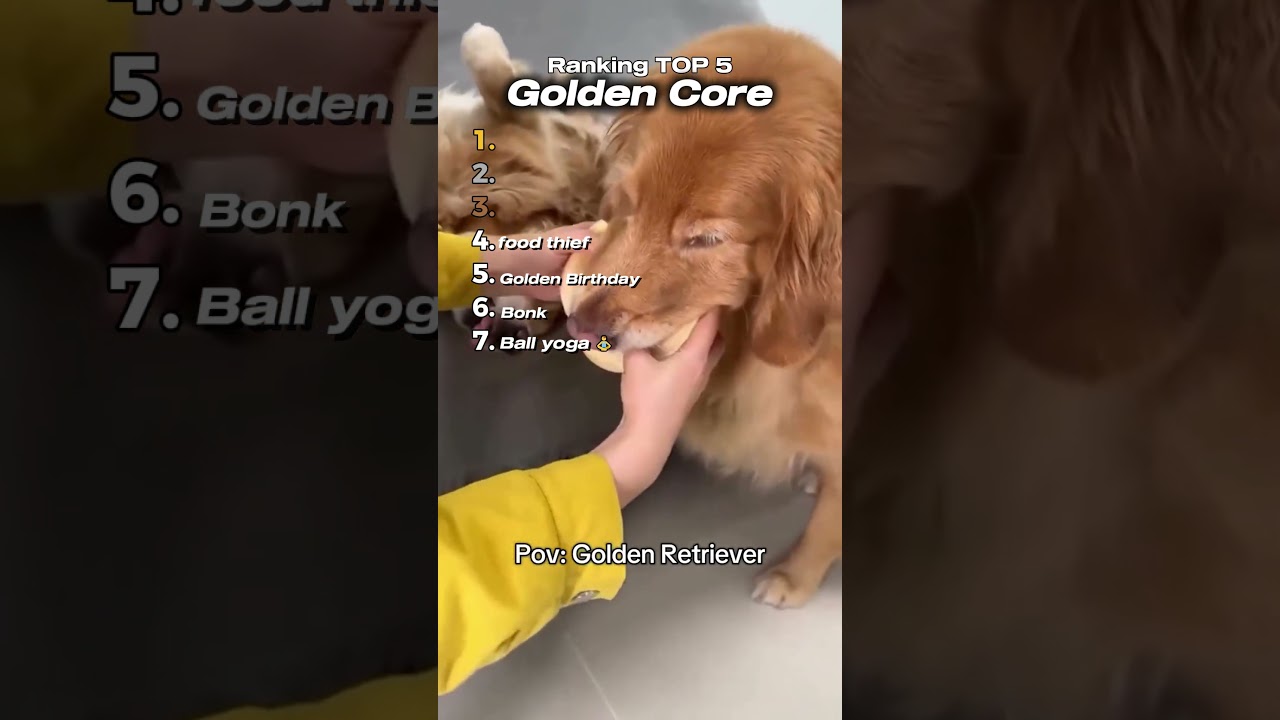 Golden Core 🐕