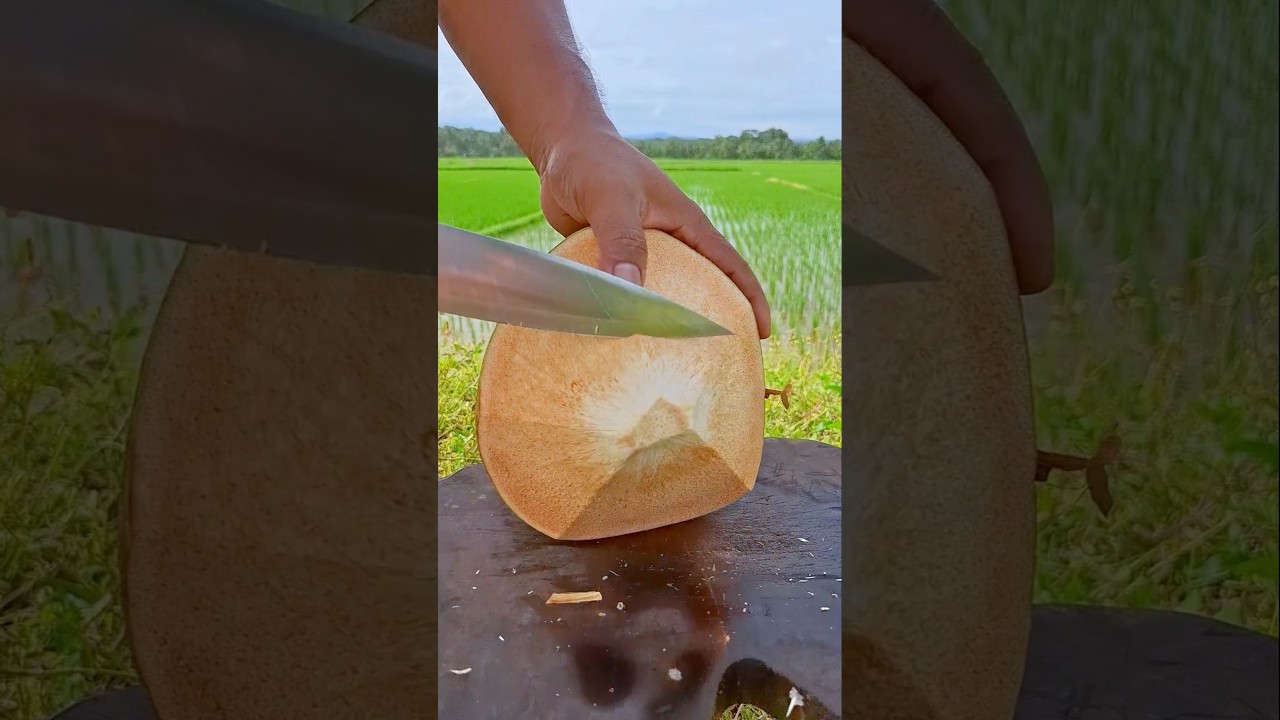 old coconut peeling skill 