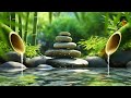 Música zen Relajante con Sonidos de Agua | Paz Mental | La Mejor Música de Relajación y Meditación