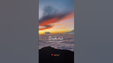 قرآن كريم آيات مريحة للقلب إسلام صبحي راحة نفسية تلاوة خاشعة #صلوا_على_النبي #راحة_نفسية #اكسبلور