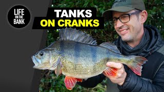 TANKS ON CRANKS  Catch big perch by fishing with crankbaits