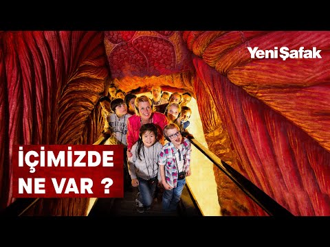 Video: Quebec Şehrindeki En İyi Müzeler