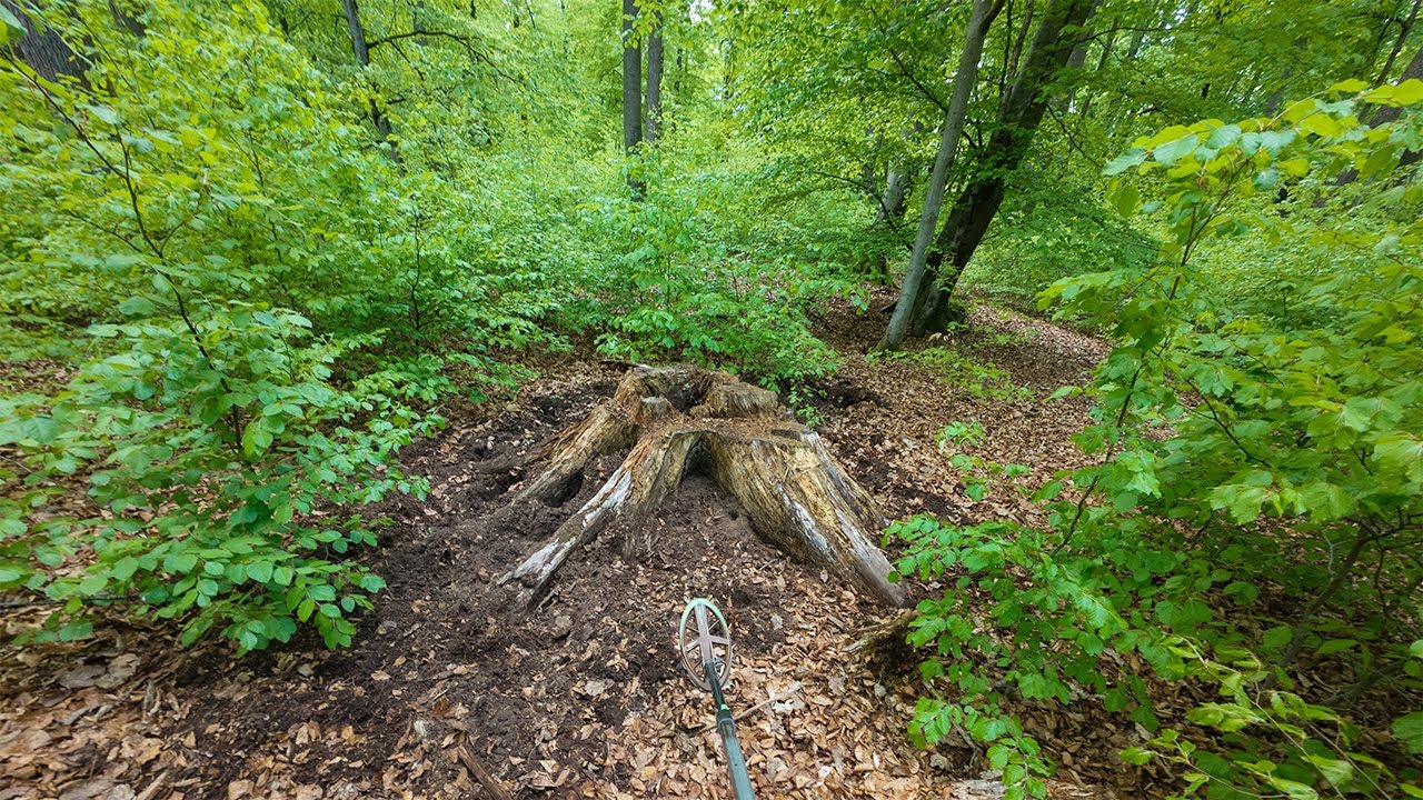 THIS Magical Place Gave Me Power! Metal Detecting Two Sides of a Forest