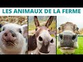 Les animaux de la ferme  les cris