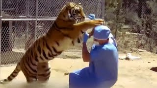🐾 When Animals Go On A Rampage 😱 by KHÔNG GIỚI HẠN NEW 7,074 views 5 months ago 10 minutes, 23 seconds
