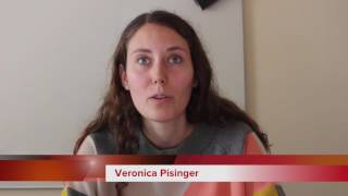 Alkohol Forbrug Blandt Unge - Projektopgave