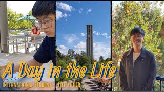 Day in the Life of an International Business Student - Liwi
