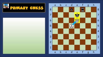 Checkmate patterns #4