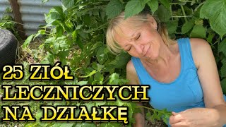 25 ZIÓŁ LECZNICZYCH DO UPRAWY NA DZIAŁCE