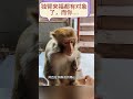 独臂来福都有对象了,而你