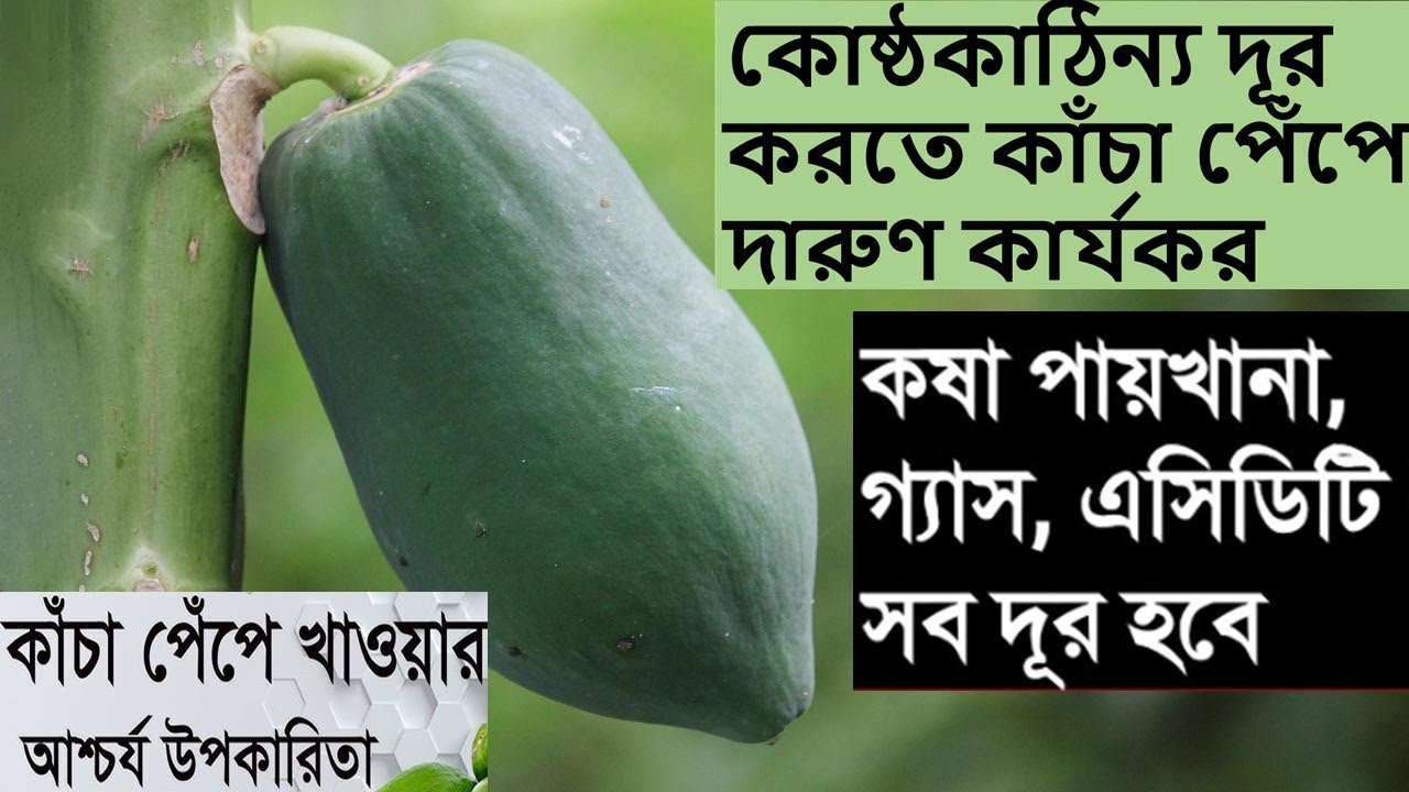 কাঁচা পেঁপে গ্যাস্ট্রিক কোষ্ঠকাঠিন্য ও বদহজম কমাতে খুব উপকারী,RawPapaya Benefits,Healthy Lifecare BD