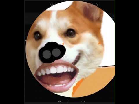 I talked to the Real @Veshremy - YouTube
