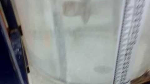 Observation of flow using propeller with baffles