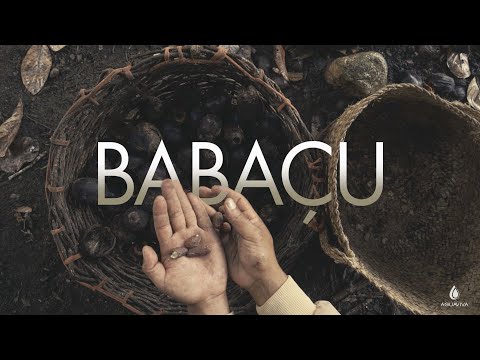 Projeto Babaçu - Instituto Água Viva