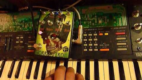 Arcadiator Julungas.