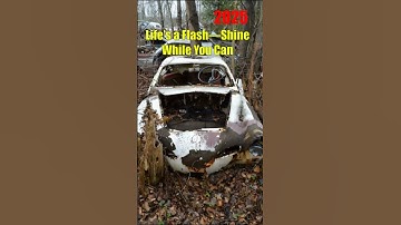 Make every moment count: Life’s a flash, so shine now!