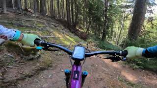 Alte Suon 3 trail, Switzerland, eMTB, POV, Valais