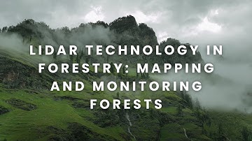 LiDAR Technology in Forestry: Mapping and Monitoring Forests