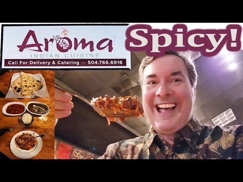 New Orleans Travel Vlog: Aroma Indian Cuisine New Orleans Best Indian Food Review Videos