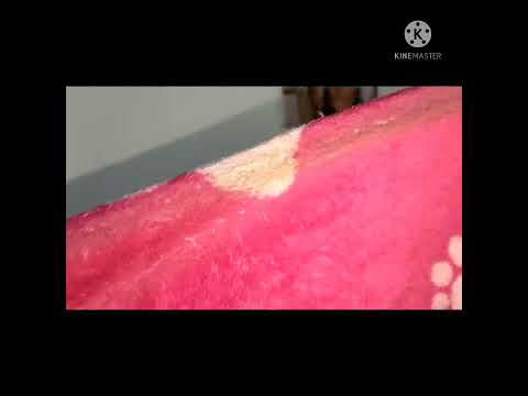 The Most Powerful And Best Way To Clean Walls In Your House In Two Steps With Amazing Results 