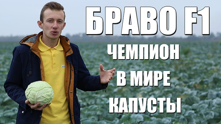 Капуста Браво － Чемпион в мире капусты [Agrolife.ua]