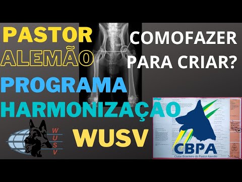 Vídeo: Novo estudo vai investigar efeitos de animais de estimação em salas de aula