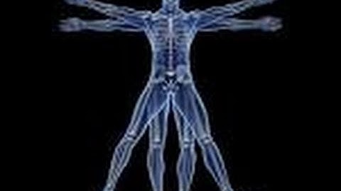 Essential Embodied Tools - move how you want to be