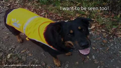 Be Careful Out There