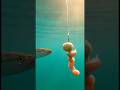 POV: 물고기 잡는 시점 #fishing #ai #shorts