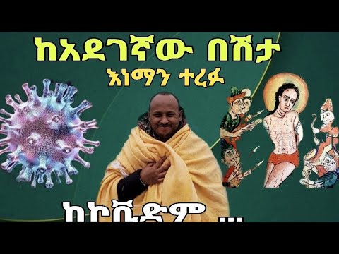 ቪዲዮ: የጣሊያን ንቦች ለምን ይመረጣሉ?