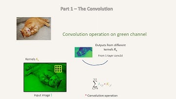Visualizing the learning of a NN | VGG16 part 1 - the convolution | resource 1