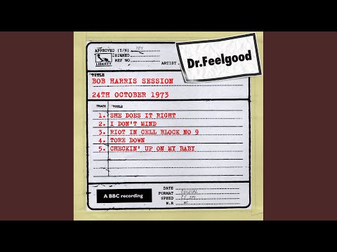 She Does It Right (BBC Bob Harris Session)