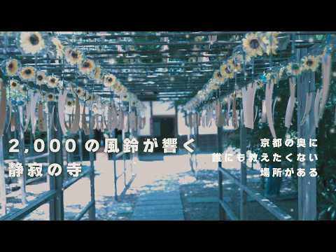 【京都 宇治】「風鈴の音は心底癒やされます」 正寿院 ｜A Temple of Beautiful Sounds – Shoju-in, the Living Art of Kyoto
