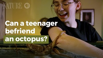 Can a teenager befriend an octopus?