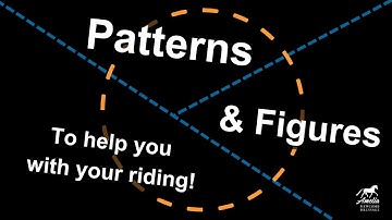 Training Your Horse with Patterns and Figures
